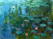 Claude Monet Nympheas Spain oil painting artist